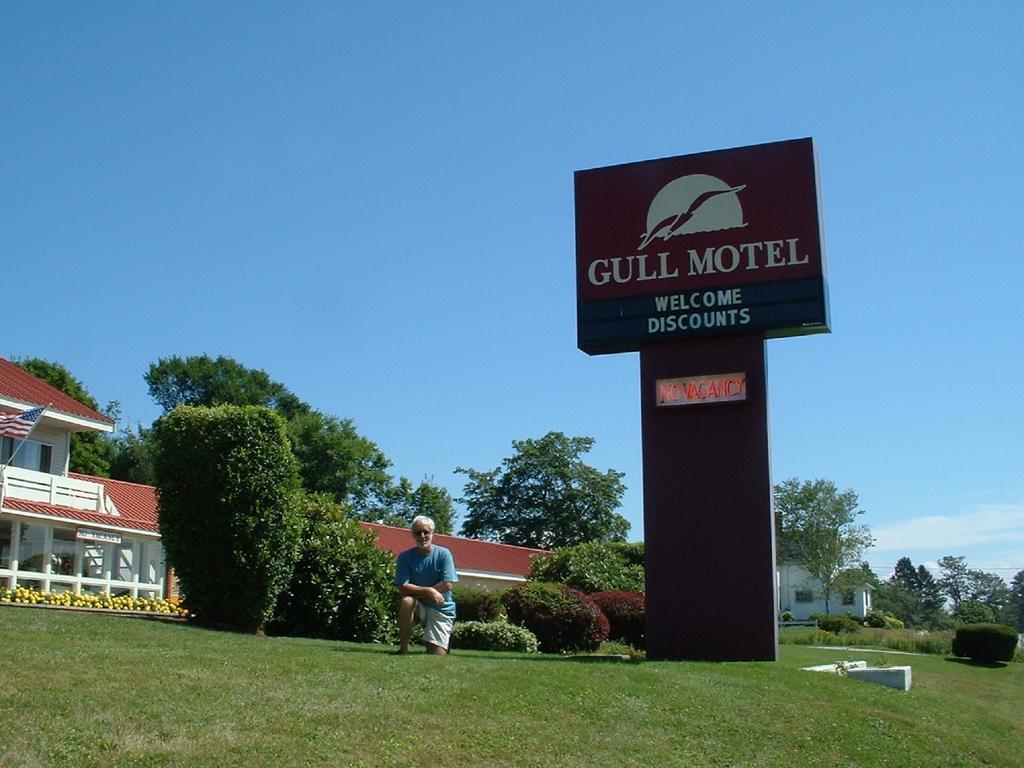 The Gull Motel, Belfast Exterior foto