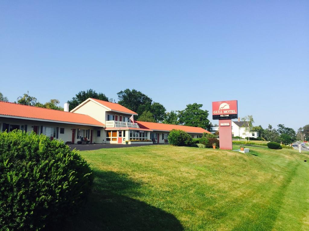 The Gull Motel, Belfast Exterior foto